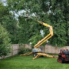 Best Seasonal Cleanup (Spring/Fall)  in Lake Ripley, WI